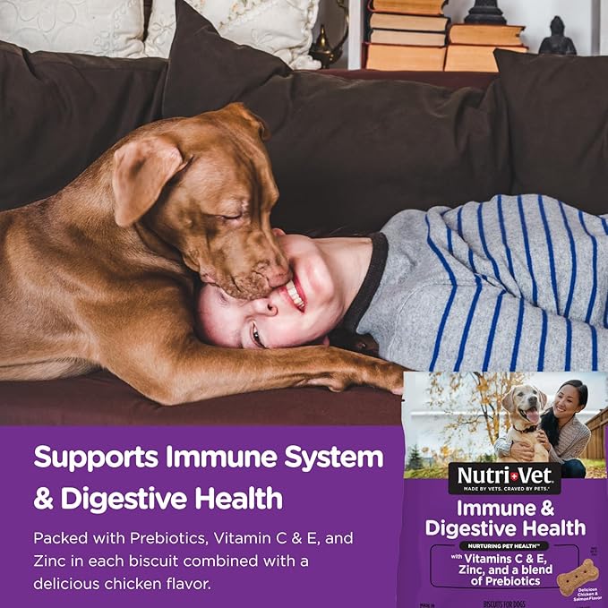 Nutri-Vet Immune & Digestive Health Biscuits for Dogs - Immune Health Dog Biscuits - Prebiotic & Postbiotic Dog Treat - Tasty Digestive Dog Biscuits - 16 oz