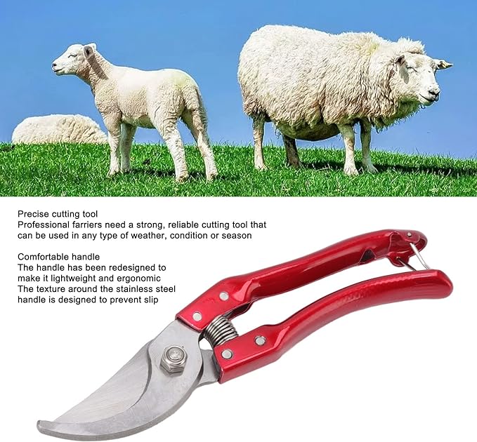 Sheep Hoof Shears Goat Hoof Trimmers Pig Trotter Shears Pliers Animal Toe Nails Trimming Repairing Tool (Red)
