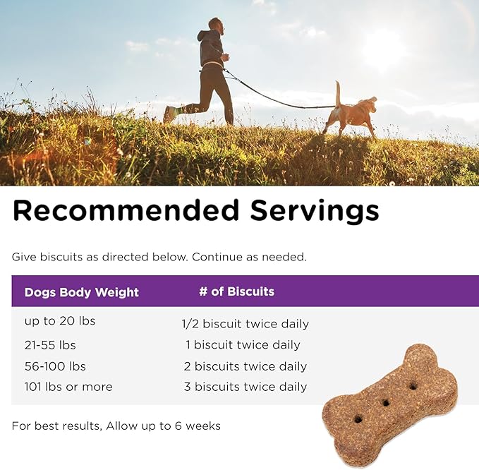 Nutri-Vet Immune & Digestive Health Biscuits for Dogs - Immune Health Dog Biscuits - Prebiotic & Postbiotic Dog Treat - Tasty Digestive Dog Biscuits - 16 oz