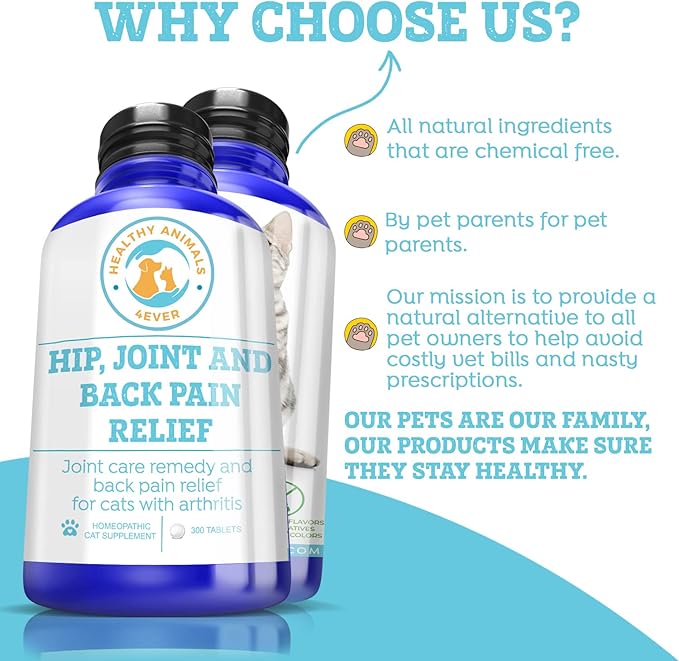 Healthy Animals 4 Ever Arthritis Remedy for Cats - Restore Energy & Vitality - Support Hip & Joint Health - Minimize Pain - All-Natural, Non-GMO, Organic - Preservative & Chemical Free - 300 ct