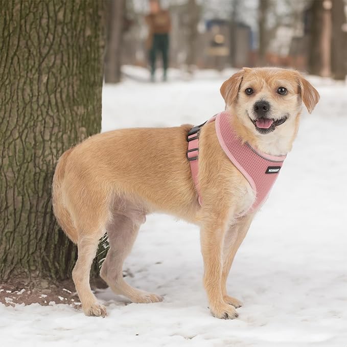 Aerolite No Pull Mesh Dog Harness with Lightweight, Soft, Breathable Chest Coverage, Reflective Stitching, and Adjustable Straps for Walking, Running, Training, Heavy Duty and Durable - Pink, XL