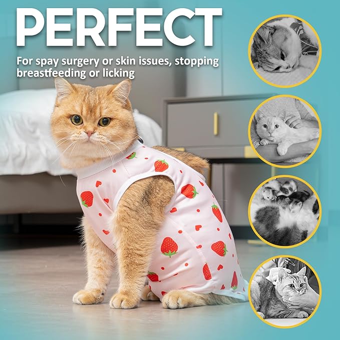 Avont 2 Pack Cat Recovery Suit - Kitten Onesie for Cats After Surgery, Surgical Spay Recovery Suit Female for Abdominal Wounds or Skin Diseases Protection -Cherry/Strawberry(L)