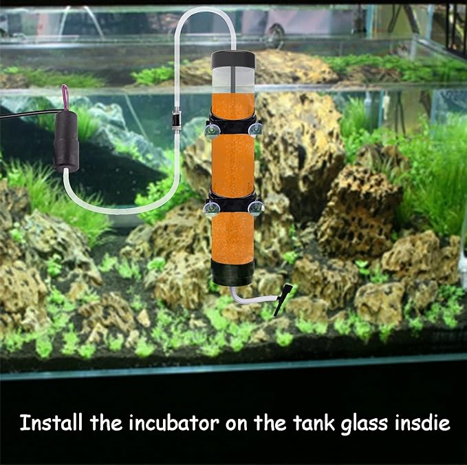 Brine Shrimp Hatchery Kits brine Shrimp Eggs Incubator Hatchery brine Shrimp Eggs Incubator Artemia Hatchery kit Machine