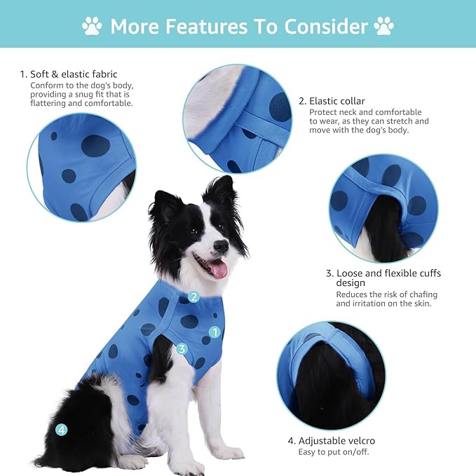 2 Packs Dog Recovery Suit Female Male, Blue+Blue, L