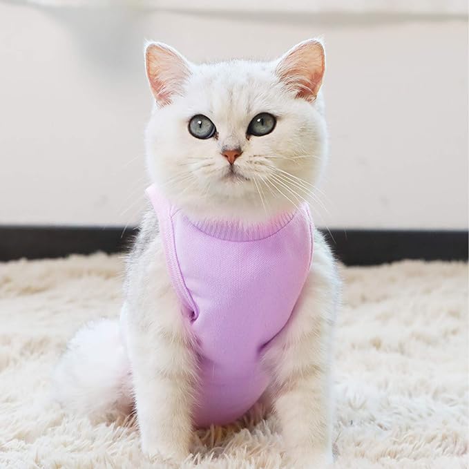 Kitten Onesies,Cat Recovery Suit for Abdominal Wounds or Skin Diseases,After Surgery Wear Anti Licking Wounds,Breathable E-Collar Alternative for Cat Purple L