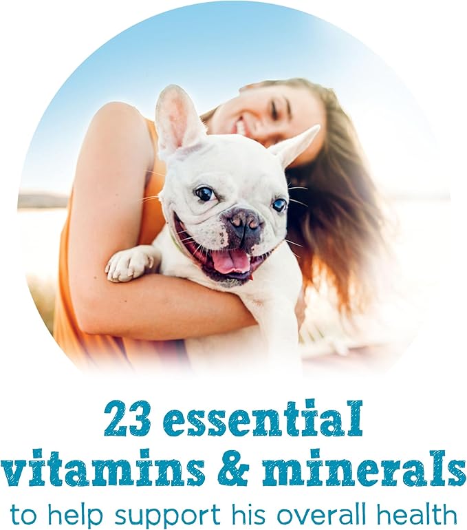 Purina Beneful Small Breed Wet Dog Food, IncrediBites Pate with Real Chicken Recipe - (Pack of 12) 3 oz. Cans