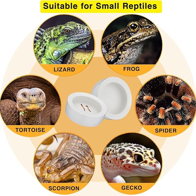 2Pcs Mini Reptile Food Dish Bowls Worm Water Dish Feeder Lizard Gecko Ceramic Pet Bowls with Tongs for Tortoise Lizard Bearded Dragon Frog Leopard Gecko Snake Chameleon(Large, 3.9 Inch)