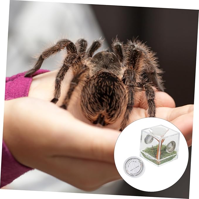 Mipcase 6pcs Box Jumping Spider Breeding Box Miniature Glass Animals Spider Micro Habitat Spider House Aquarium Breeding Tank Mini Fence Spider Habitat Reptile Wood Little Spider to Climb