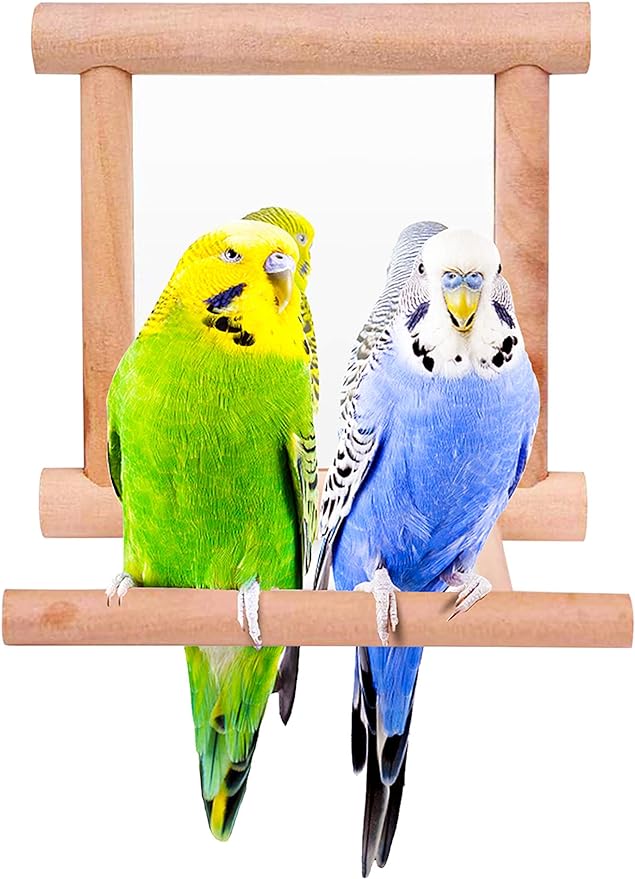 Bllesqelax Bird Parakeet Mirror for Cage,Parrot Perch Stand,Wooden Hummingbird Swing Toy,Parakeet Accessories for Cockatiels Conure Finch Lovebird Canary African Grey Macaw