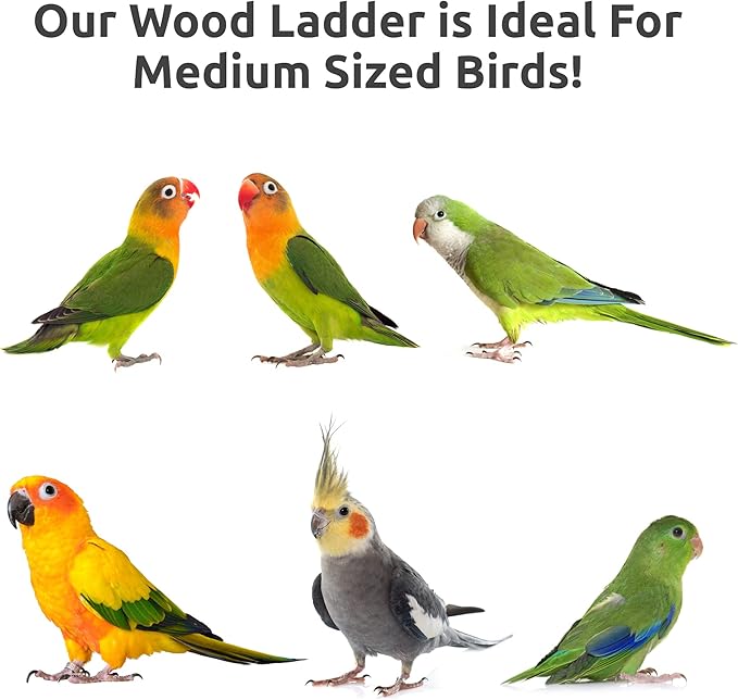 Bird Cage Ladder, Parrot Bridge Made of Natural Wood and Rope, Interactive Bird Toy for Small and Medium Sized Birds and Parrots, Parakeets, Cockatiels, Amazon Parrots, Conures etc.