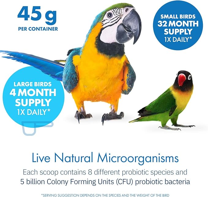 HealthyGut™ Avian Probiotics Dietary Supplement for Parrots, All-Natural Digestive System Formula (120 Servings)