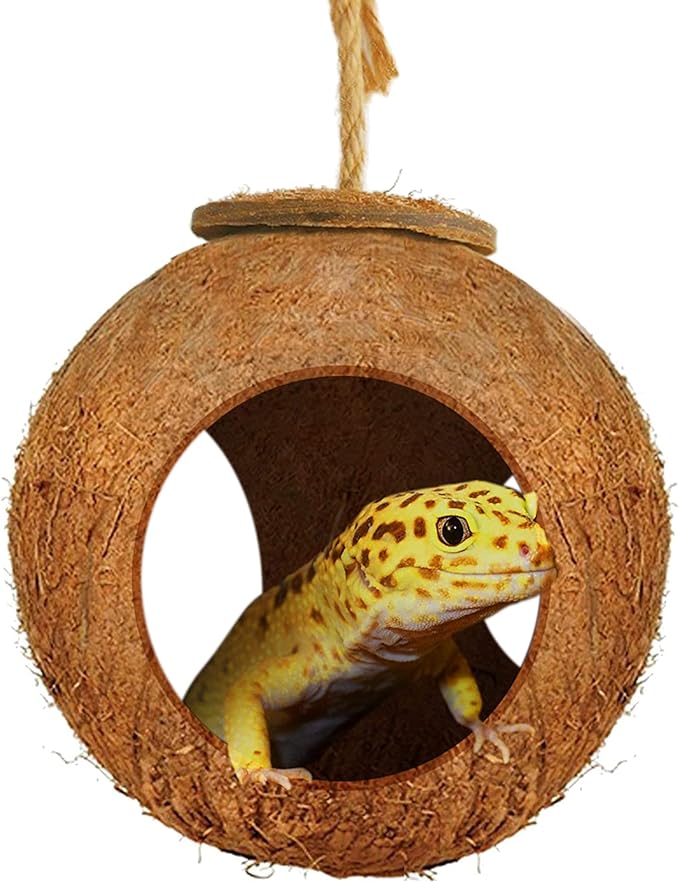 SunGrow Leopard Gecko Coco Hut, Gecko Climbing Accessories, Raw Coconut Shell Reptile Hide, Terrarium Habitat Décor, 2.5” Opening Diameter, with Fiber Loop for Hanging (3-Holes)