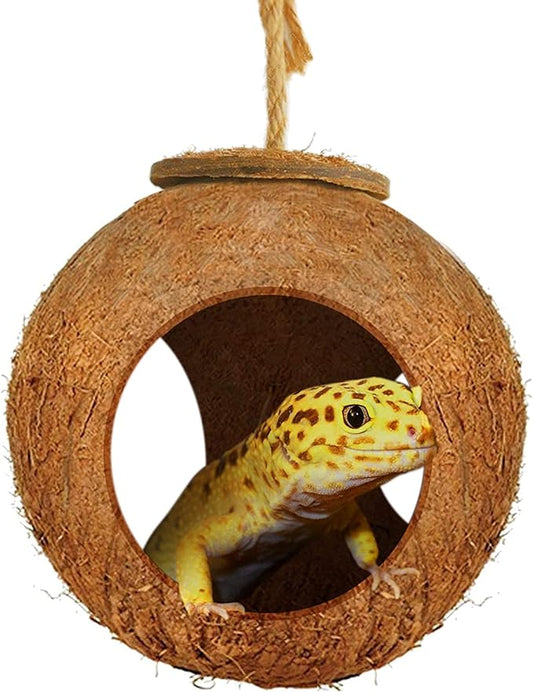 SunGrow Leopard Gecko Coco Hut, Gecko Climbing Accessories, Raw Coconut Shell Reptile Hide, Terrarium Habitat Décor, 2.5” Opening Diameter, with Fiber Loop for Hanging (3-Holes)