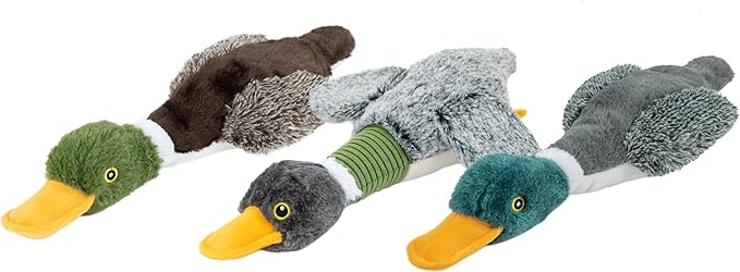 Best Pet Supplies Interactive Mallard Mates Dog Toy with Crinkle and Squeaky Enrichment for Small and Medium Breed, Cute and Plush - Mallard Duck Wing Bundle (Gray, Gray, Brown), Small