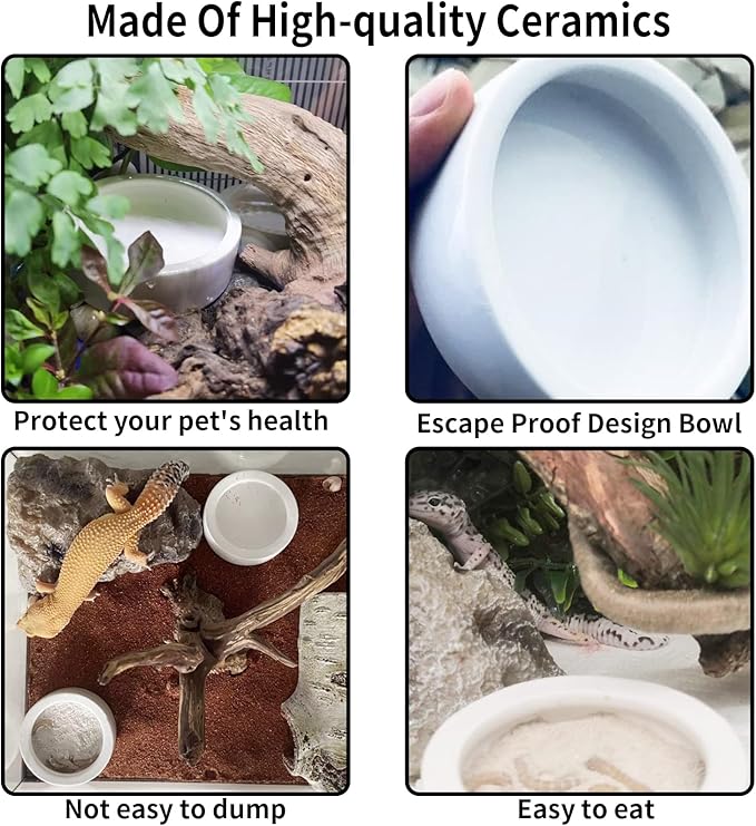 Reptile Food Water Bowl Set Lizard Feeder Ceramics Bowls Worm Live Fodder Container for Bearded Dragon Chameleon Lizard Hermit Crab Gecko Tortoise Spider Pet 3 Pieces