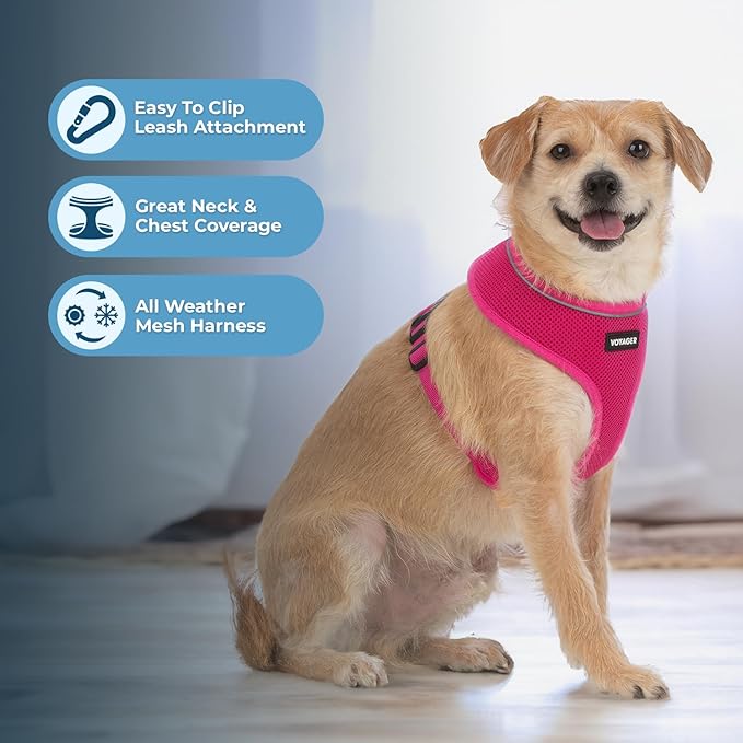 Aerolite No Pull Mesh Dog Harness with Lightweight, Soft, Breathable Chest Coverage, Reflective Stitching, and Adjustable Straps for Walking, Running, Training, Heavy Duty and Durable - Fuchsia, XS