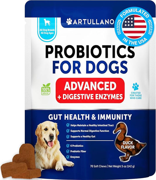 Probiotics for Dogs - Support Gut Health, Itchy Skin, Allergies, Immunity, Yeast Balance - Dog Probiotics and Digestive Enzymes with Prebiotics - Reduce Diarrhea, Gas - 70 Probiotic Chews for Dogs