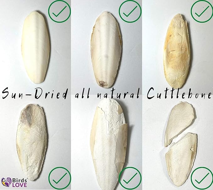 Birds LOVE Natural Cuttlebone – Premium Calcium for Cockatiel, Parrots, Tortoise, Snails, Crabs and Chinchillas - Pure Cuttlebone for Birds - Parakeet Food and Bird Treats - 2 Pack, Size 3.5 to 4"