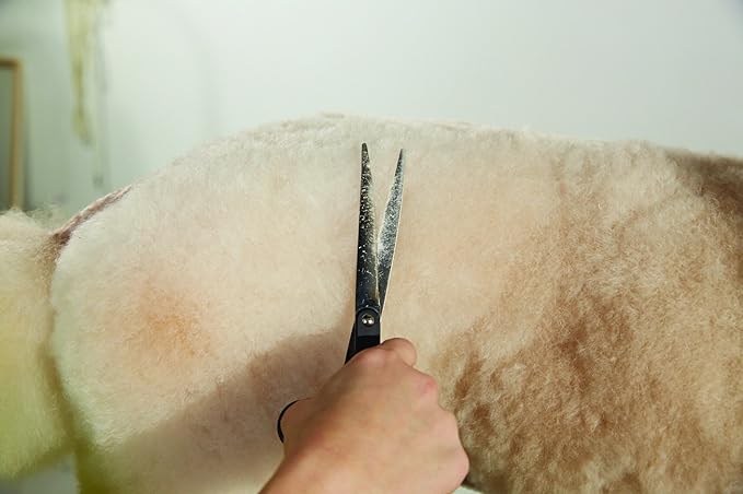 Andis Straight Shears, Right-Handed, Professional Dog and Cat Grooming