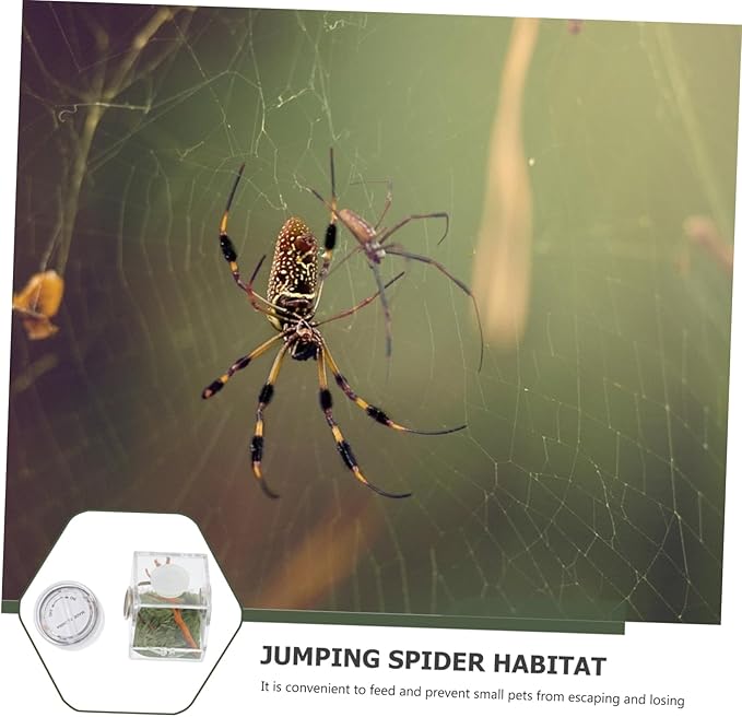 Mipcase 8pcs Box Jumping Spider Breeding Box Tarantula Terrarium Glass Container Glass Case Spider Habitat Holder Spider Habitat Cage Spider Landscape Cage House Spider Cage Pet