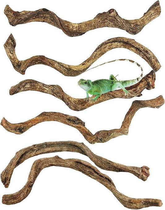 Reptile Branch Decor Snake Climbing Wood Branches Lizard Habitat Decorations Terrarium Natural Forest Tree Trunk Ornament for Bearded Dragon Geckos Chameleon Frog 6 Pcs - S