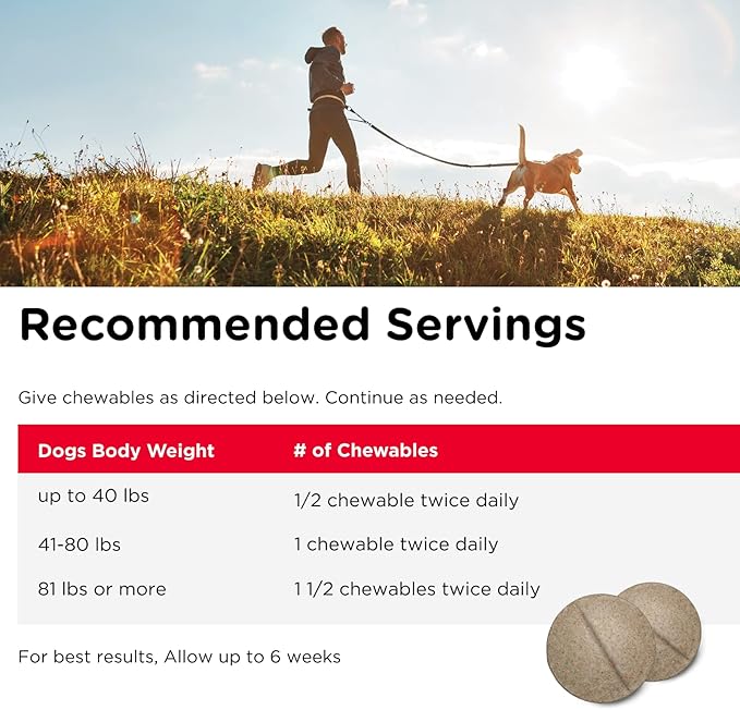 Nutri-Vet Hip & Joint Chewable Dog Supplements | Formulated with Glucosamine & Chondroitin for Dogs | 120 Count
