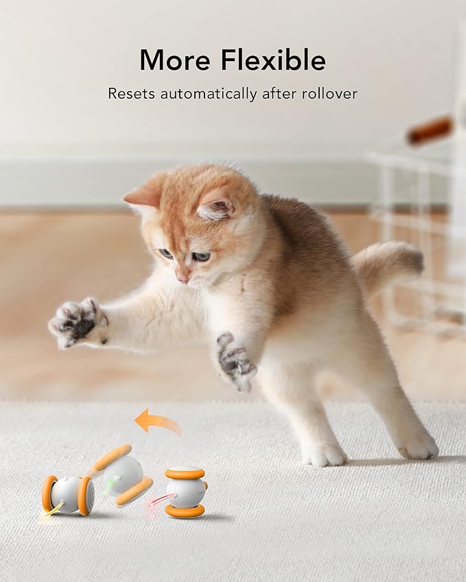 PETLIBRO Interactive Cat Toys for Indoor Cats, Automatic Cat Toy with LED Lights, Cat Mouse Toys, Smart Sensing Cat Toys, Moving Cat Toy, Smart Electric Cat Toy, USB Rechargeable, Auto On/Off