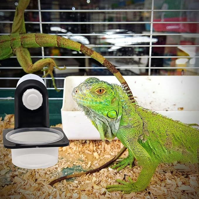 Reptile Feeding Cups Water Bowl Double Crested Gecko Feeding Ledge with 10 Pcs 0.5oz Bowls，Detachable Suction Cup Reptile Feeding Dish Feeder for Lizard Tortoise Reptile Spider Gecko (Single)