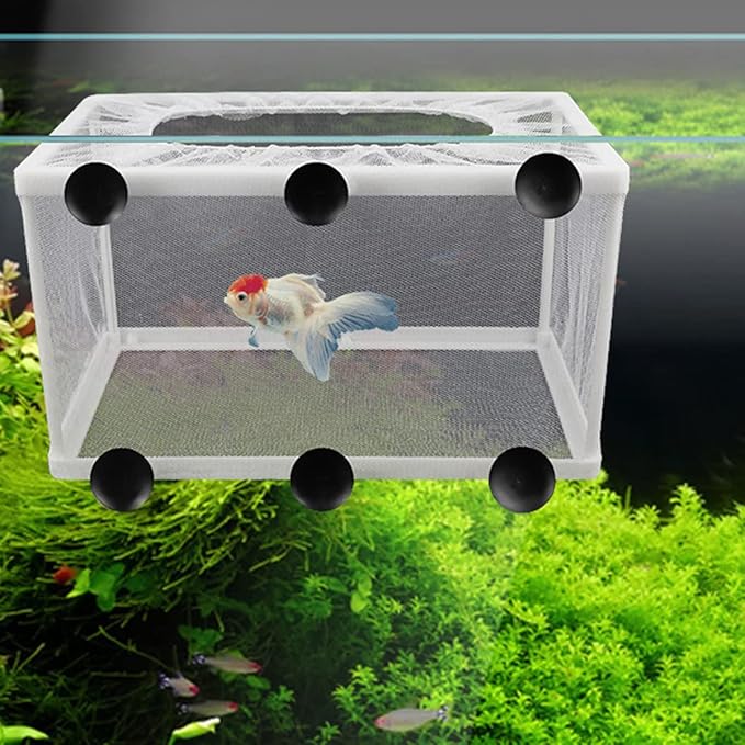 2 Pcs Fish Hatchery Breeder Box Separation Net Plastic Frame Breeder Box Fish Tank Breeder Net Box with Suction Cup for Aquarium