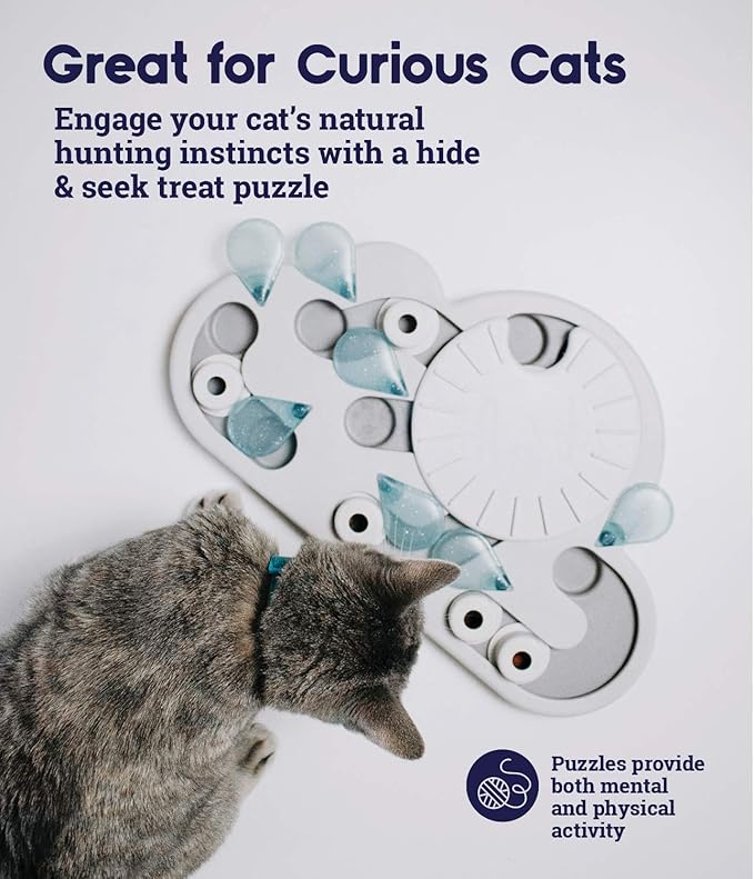 Catstages by Nina Ottosson Rainy Day Puzzle & Play - Interactive Cat Treat Puzzle