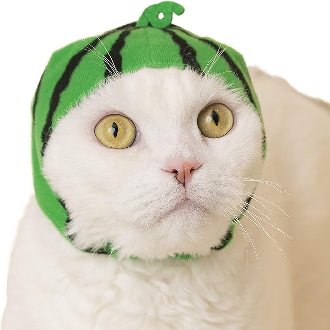 Kitan Club Cat Cap - Pet Hat Blind Box includes 1 of 6 Cute Styles - Soft, Comfortable - Authentic Japanese Kawaii Design - Animal-Safe Materials, Premium Quality (Fruit)