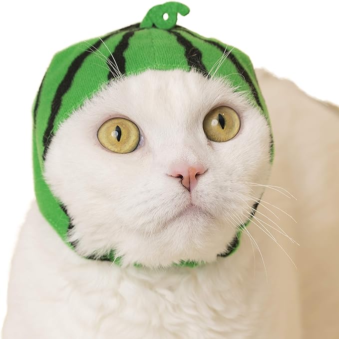 Kitan Club Cat Cap - Pet Hat Blind Box includes 1 of 6 Cute Styles - Soft, Comfortable - Authentic Japanese Kawaii Design - Animal-Safe Materials, Premium Quality (Fruit)
