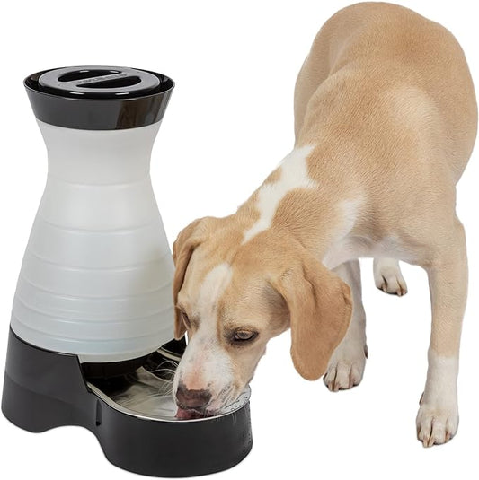 PetSafe Healthy Pet Water Station - Medium, 128 oz Capacity - Gravity Pet Water Fountain, Automatic Cat Water Fountain, Dog Water Fountain, Water Dispenser - Removable Stainless Steel Bowl Included