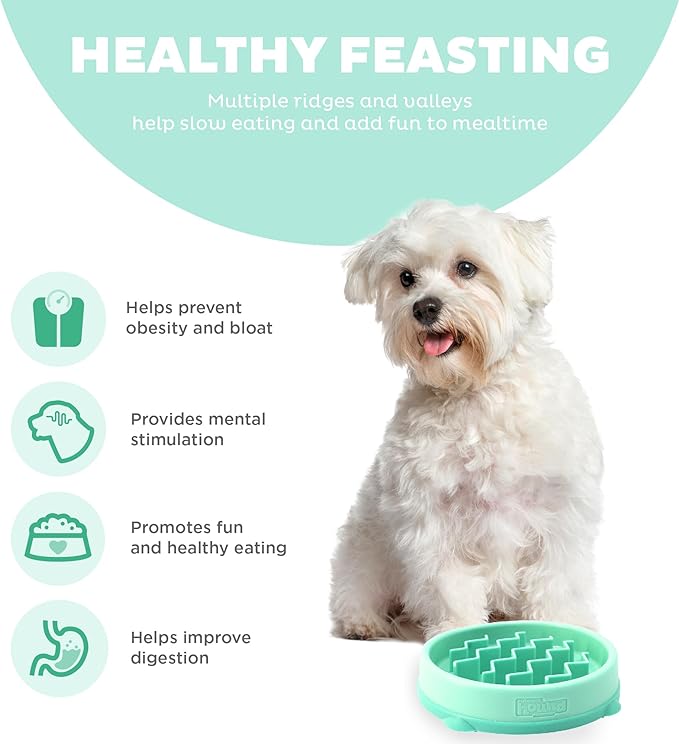 Outward Hound Fun Feeder Slo Bowl, Slow Feeder Dog Bowl, Small/Tiny, Mint