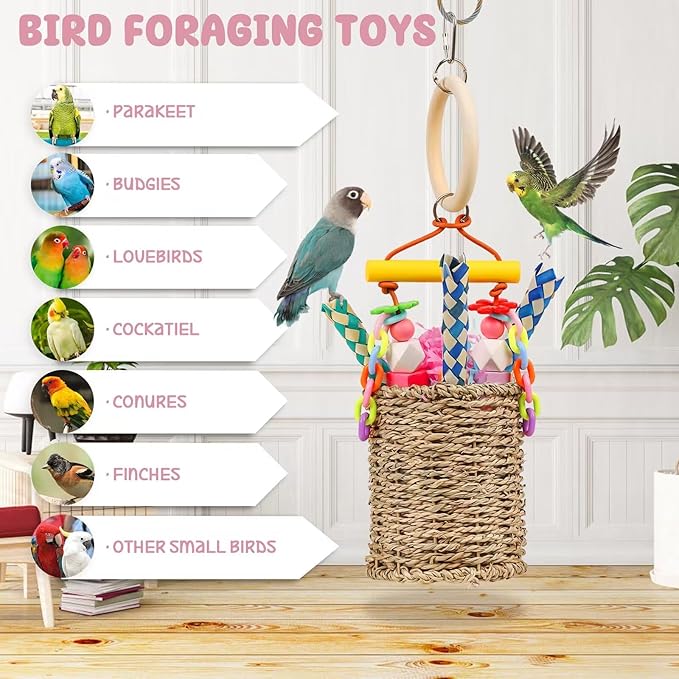 Parrot Toys, Brid Foraging Toy for Medium Parakeet, Conure, Cockatiels, Budgie, Lovebirds, Natural Seagrass Brid Chew Basket