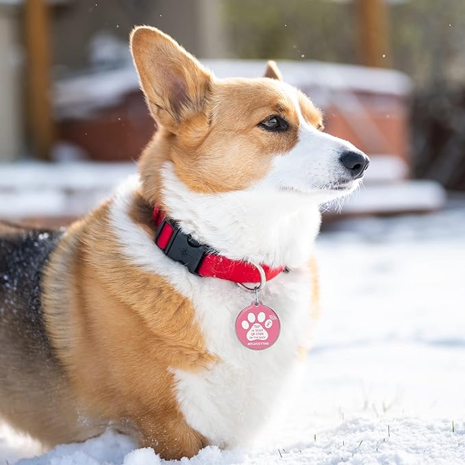 MYLUCKYTAG NFC & QR Code Smart Pet ID Tag Personalized Dog Cat Tag, Online Pet Profile, Pet Location Alert Email