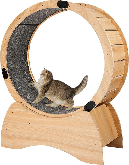 Cat Exercise Wheel, Cat Wheel with Carpeted Runway, Cat Running Wheel for Indoor Cats, Kitty Cat Sport Toy, Enhance Your Cat's Playtime with Running, Spinning, and Scratching Fun