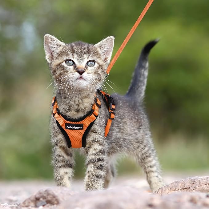 rabbitgoo Cat Harness and Leash for Walking, Escape Proof Soft Adjustable Vest Harnesses for Cats, Easy Control Breathable Reflective Strips Jacket, Orange, XXS