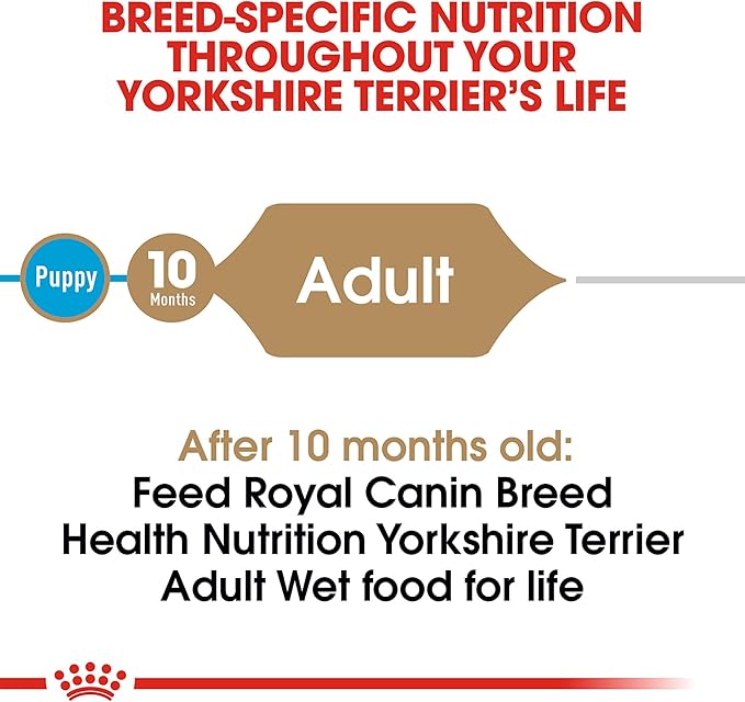 Royal Canin Yorkshire Terrier Adult Breed Specific Wet Dog Food, 3 oz can (24-count)