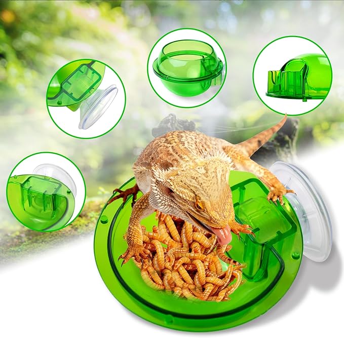 PINVNBY Reptile Bowl with Suction Cup,Chameleon Feeding Bowl,Gecko Food and Water Feeding Dish Pet Feeder Supplies Accessories for Lizards,Snakes,Bearded and Dragons(4 Pcs)