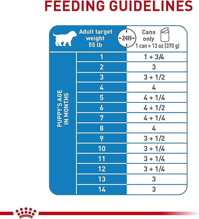 Royal Canin Size Health Nutrition Large Puppy Thin Slices in Gravy Wet Dog Food, 13 oz can (12-count)