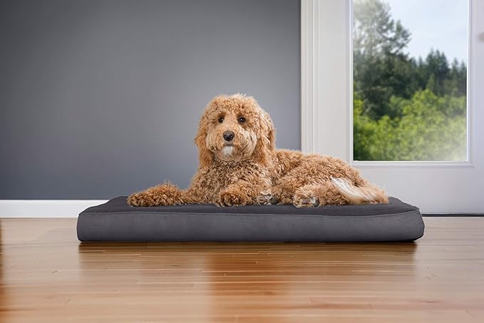 Furhaven Orthopedic Dog Bed for Large/Medium Dogs w/ Removable Washable Cover, For Dogs Up to 55 lbs - Terry & Suede Mattress - Gray, Large