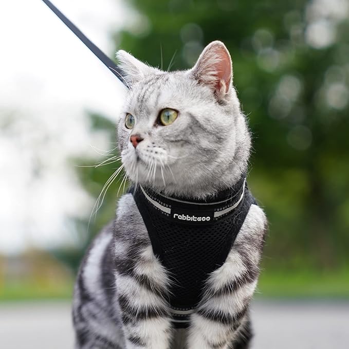 rabbitgoo Cat Harness and Leash Set for Walking Escape Proof, Adjustable Soft Kittens Vest with Reflective Strip for Cats, Comfortable Outdoor Vest, Black, M