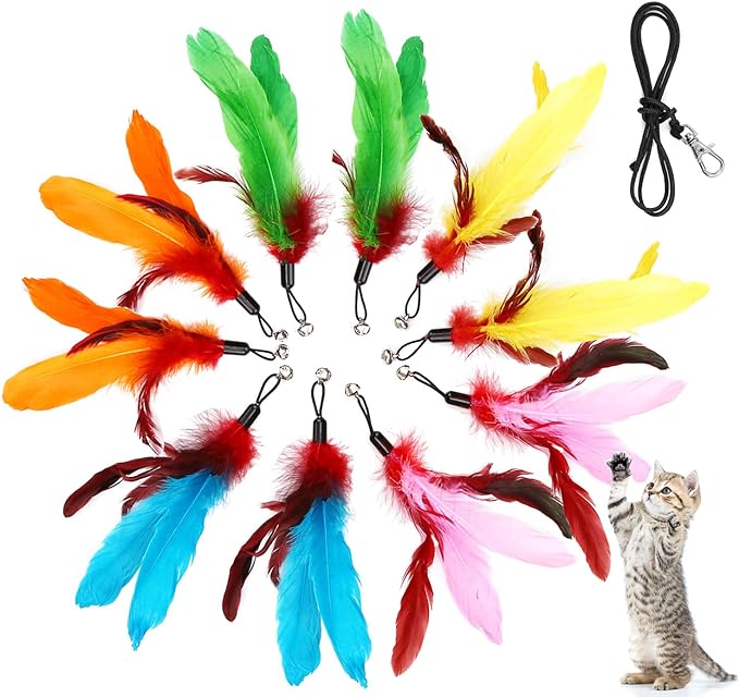 11PCS Cat Feather Toys Replacement Cat Toy Wand Refills, 10PCS Feathers Refill and 1PC Replacement String, Interactive Cat Wand Toy Replacement Feather for Bored Indoor Adult Cats Kitten