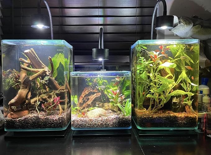 Lominie LED Aquarium Light, Planted Tank Light 4 Channels Remote Control 6500K Aquarium LED Light for Freshwater Fish Tank Refugium with Gooseneck (A20 18W Freshwater)