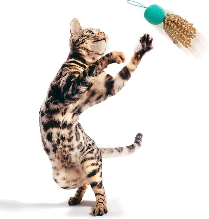 Petlinks Crazy Flyer Launcher Cat Toy - Teal, One Size