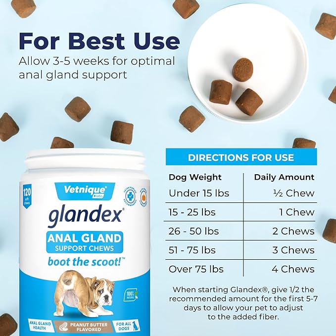 Glandex Anal Gland Soft Chew Treats with Pumpkin for Dogs Digestive Enzymes, Probiotics Fiber Supplement for Dogs Boot The Scoot (Peanut Butter Chews, 120ct)