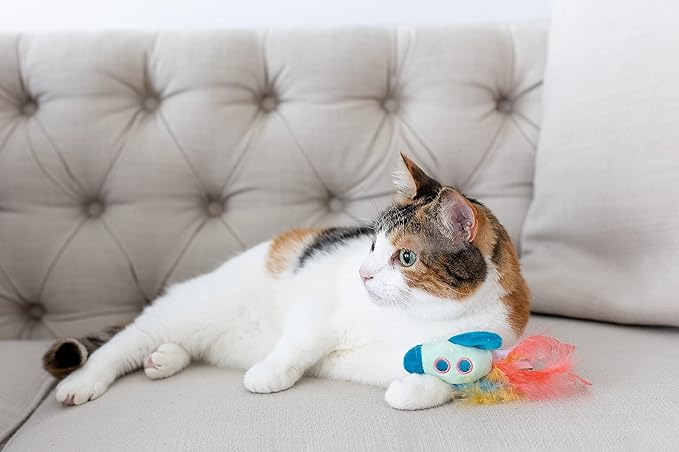 Pearhead Pawstronaut Cat Toy Set, Feather Teaser and Rattle Catnip Toy Set, Cat Owner Playtime Pet Accessory, Pet Toy, Cat Teaser Toys, Cat Owner Pet Toy Sets, Must Have Pet Accessories For Pet Owners