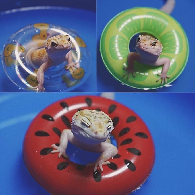 Lizard Bath Pool & Collar Rings Set - Inflatable Reptile Bathing Swimming Pool Bathtub Reptile Swim Float Ring for Leopard Gecko Amphibians Habitat Accessories Grooming Health Supplies (Blue)