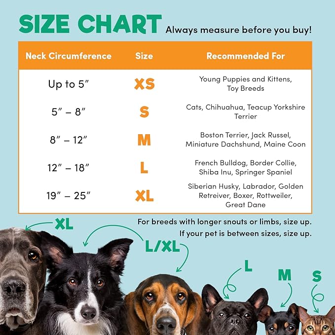 BENCMATE Protective Inflatable Collar for Dogs and Cats - Soft Pet Recovery Collar Does Not Block Vision E-Collar (Large, Pink)